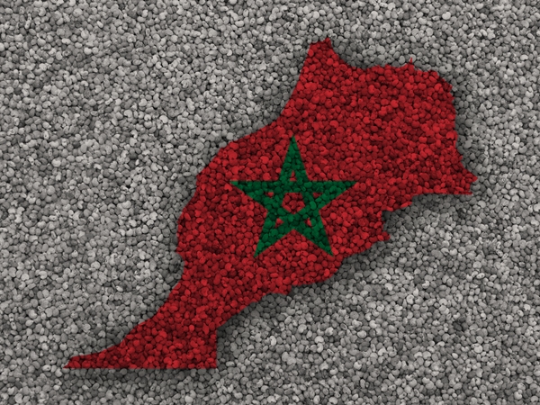 عدد سكان المغرب الاصليين 2023 | نواعم