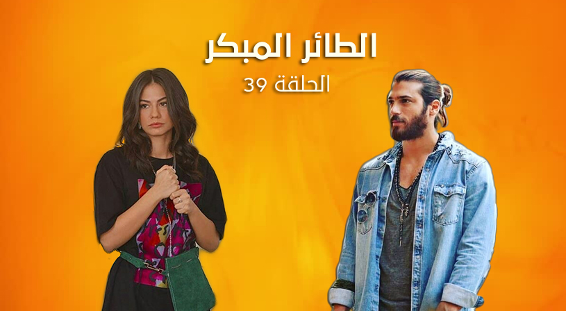 المبكر مسلسل الطائر مسلسل الطائر