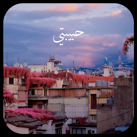 عبير نعمة في رسالة حبّ مفتوحة إلى بيروت: نحبُّكِ... هل تسمعين؟