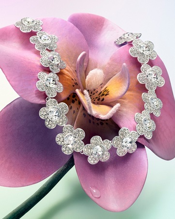 لمسة حالمة من عالم أريانا