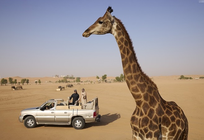 الرياض… أقرب مما تتخيّلين