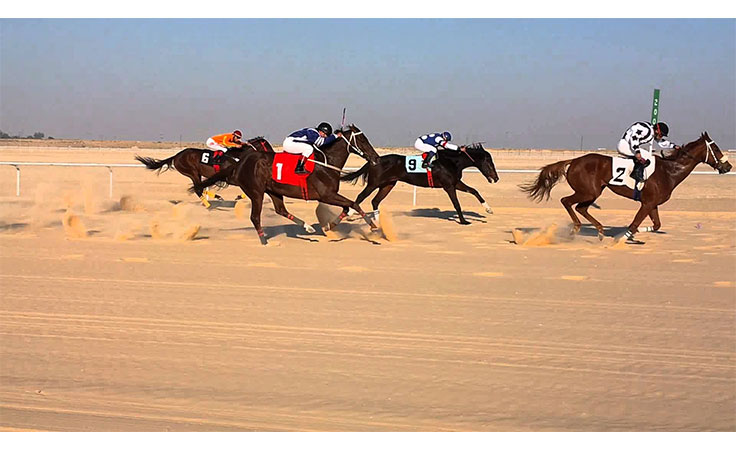 بالفيديو سقوط فارس من على حصانه اثناء سباق فروسية بمدينة نجران