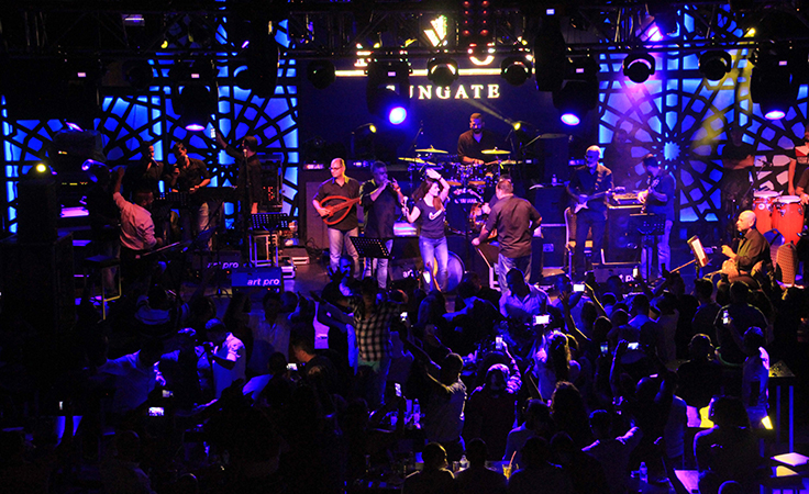 ديانا حدّاد أوّل فنّانة عربيّة تحيي حفلاً غنائياً في تركيا