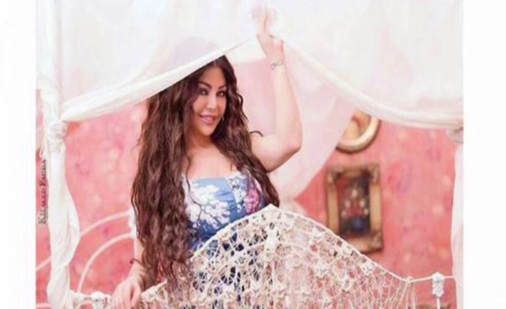 خاص - فنّان يجدّد الخلافات بين هيفاء وهبي وغادة عبد الرازق