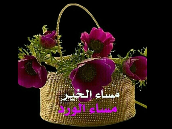 رد: صور مساء الخير 2024.صور صباح ومساء.good evening