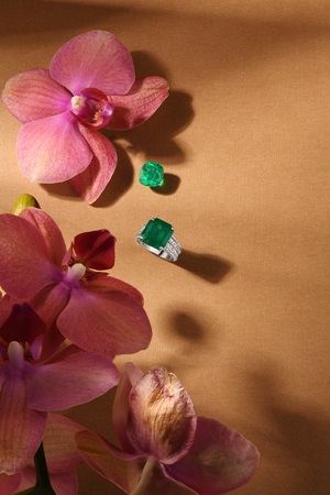 زمردكِ… حين يتجاوز اللون حدوده