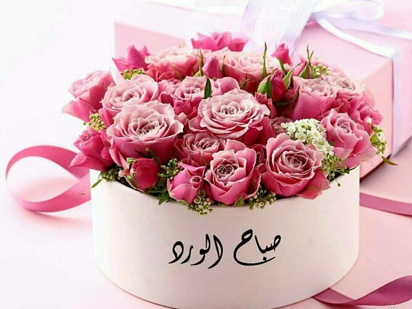 صباح الورد والياسمين | نواعم
