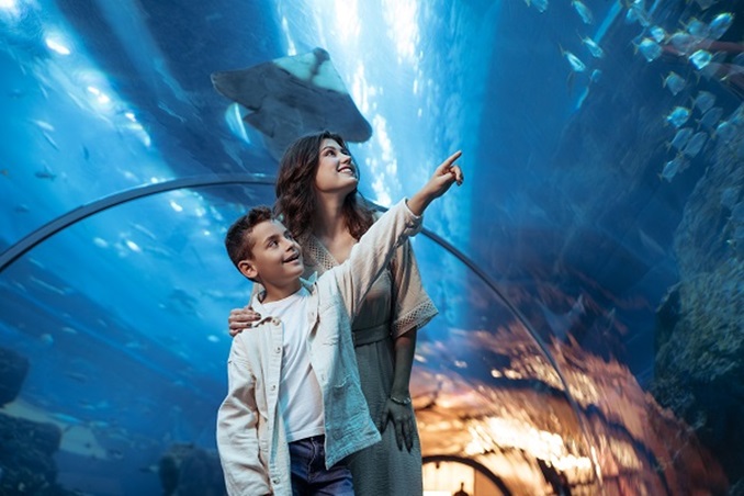 عطلتكِ الصغيرة في قلب دبي