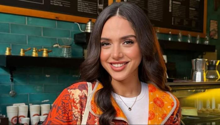 إخلاء سبيل شقيق رنا رئيس بكفالة 10 آلاف جنيه في واقعة حيازة سلاح أبيض ومواد مخدرة