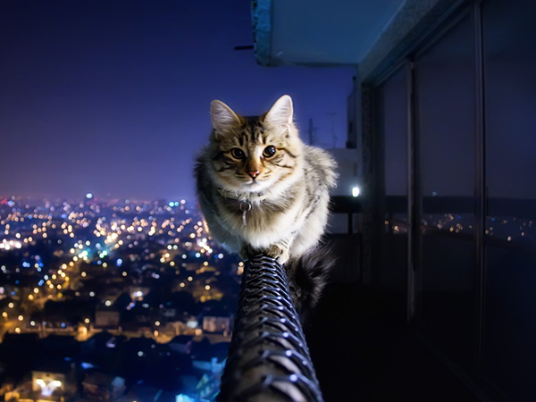 اجمل صورة