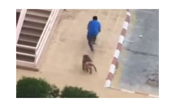 هجوم 