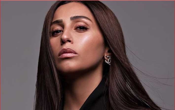مؤلف أغنية «شكراً» لعمرو دياب: لا علاقة لها بدينا الشربيني