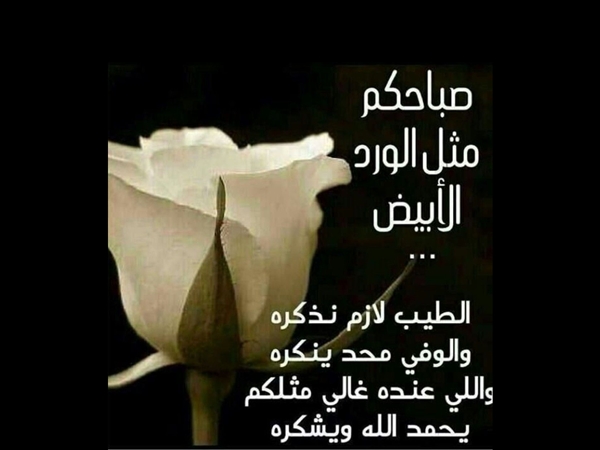 شعر صباح الخير