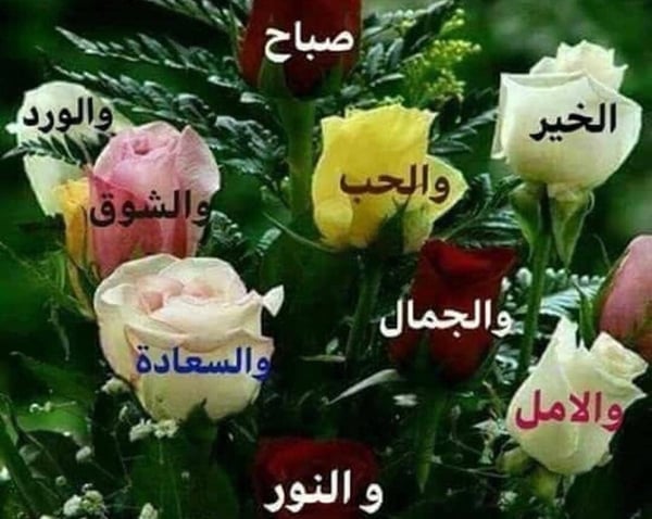 صور صباح الحب