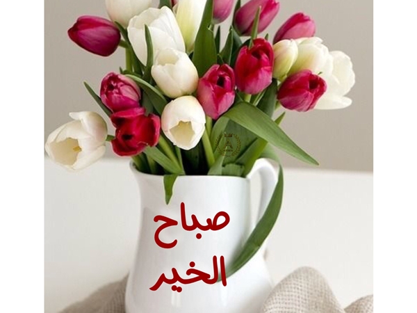 عبارات صباح الخير