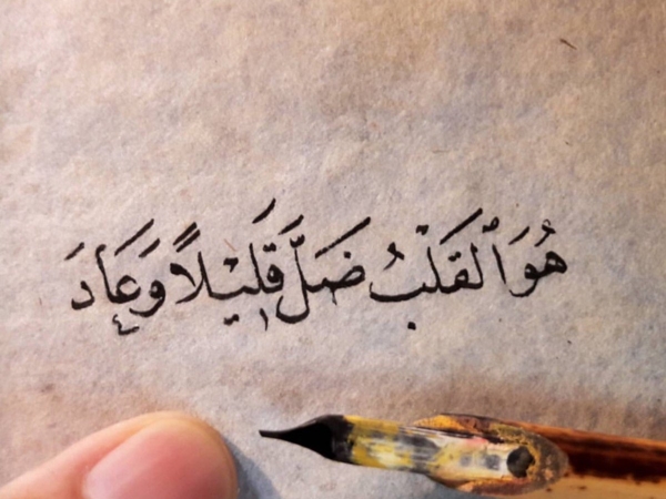 صور جمل