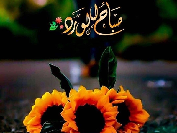 كلمة الصباح