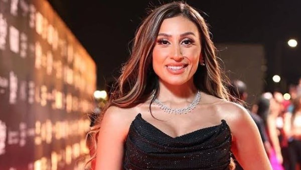 بعد مروة صبري... خطوة قضائية جديدة تتخذها دينا الشربيي