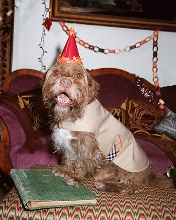 Burberry تحول ليلة الميلاد إلى عرض من الأناقة والمرح