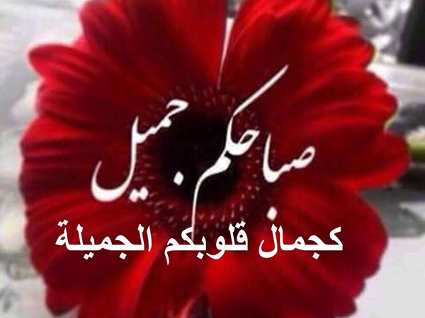صباحكم جميل