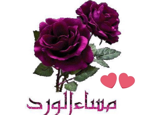 مساء الورد