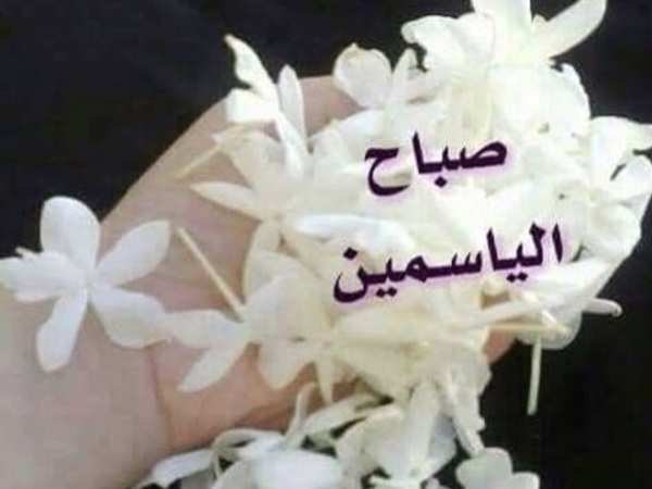 صباح الياسمين