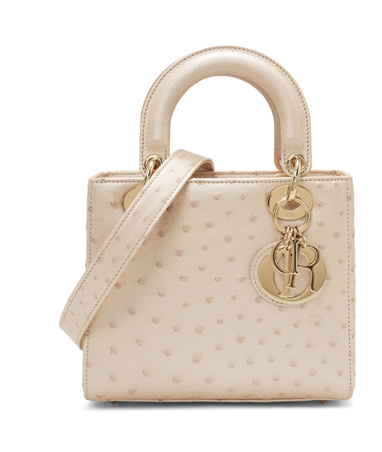 فخامة تشاركينها: تجربة استئجار الحقائب تعيد صياغة أناقتك