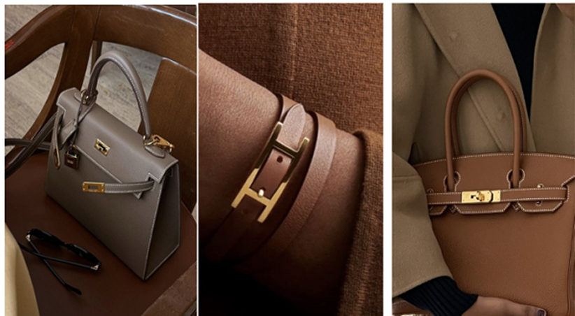 فخامة تشاركينها: تجربة استئجار الحقائب تعيد صياغة أناقتك