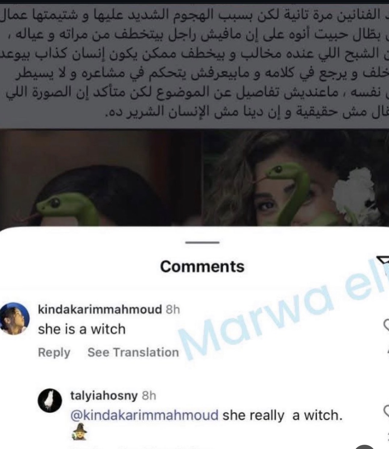 ابنة تامر حسني تعتذر وتدعم ابنة كريم محمود عبد العزيز: 