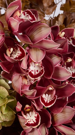 The Flower Society تستقبل الخريف بباقة من الدفء والألوان المستوحاة من صيحات الموسم