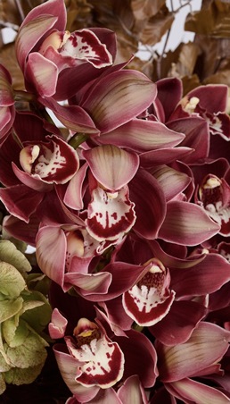 The Flower Society تستقبل الخريف بباقة من الدفء والألوان المستوحاة من صيحات الموسم