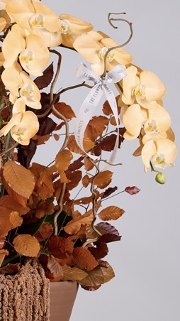 The Flower Society تستقبل الخريف بباقة من الدفء والألوان المستوحاة من صيحات الموسم