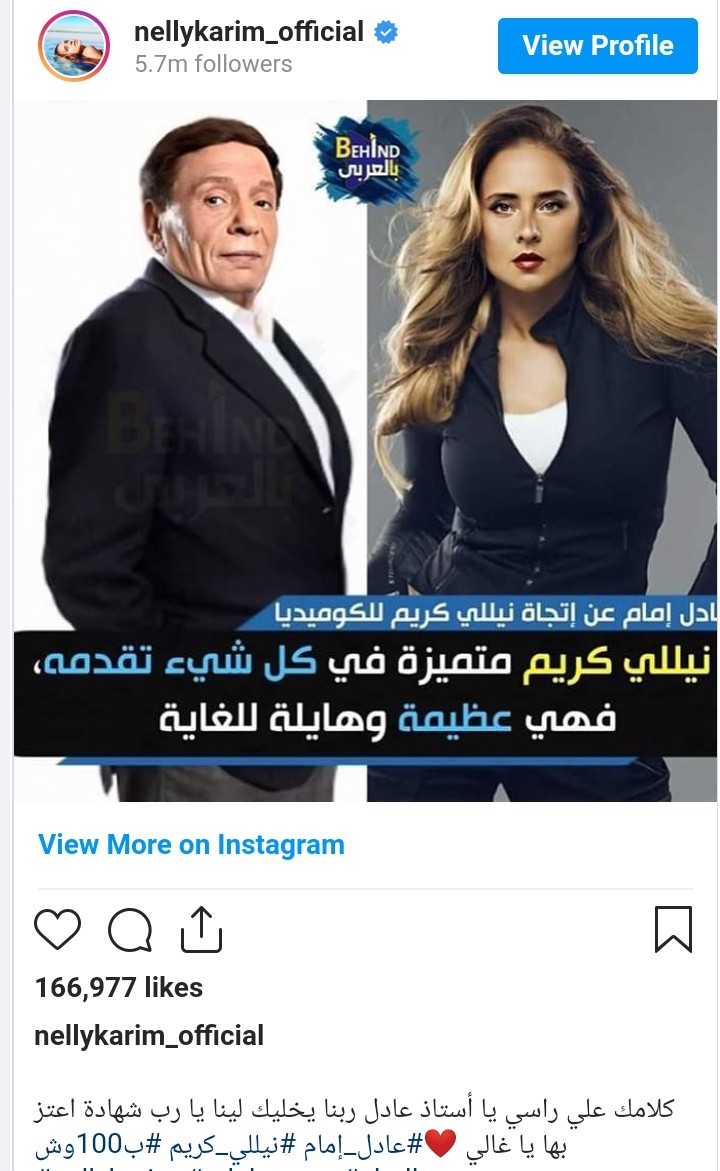 نيللي كريم ترد على رأي عادل إمام في مسلسل 