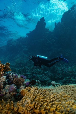 اكتشفي وجهات تُلهمك وتُنمّي مهاراتك من حول العالم