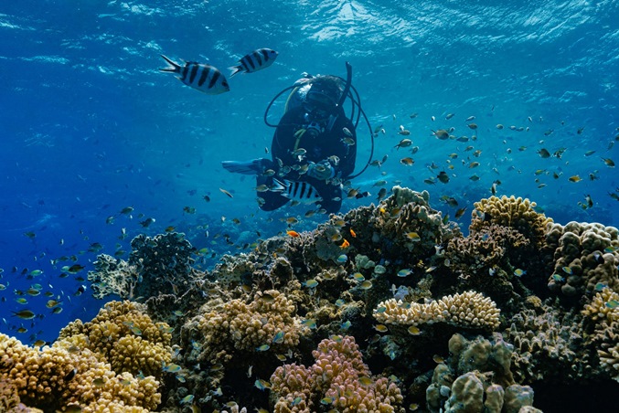 اكتشفي وجهات تُلهمك وتُنمّي مهاراتك من حول العالم