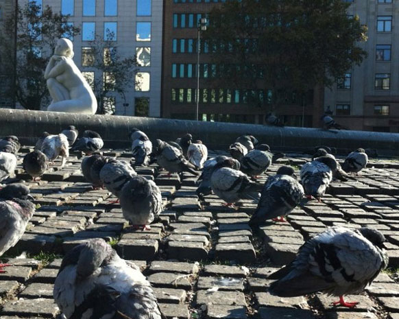 برشلونة مدينة تجمع كل متعة السفر!