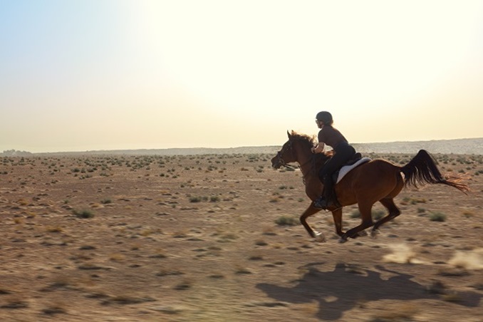 احتفلي بروح الاتحاد بين كثبان الصحراء في منتجع المها الفاخر