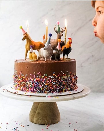 الشوكولا اختيار مثالي لكعكة عيد ميلاد طفلك في الخريف