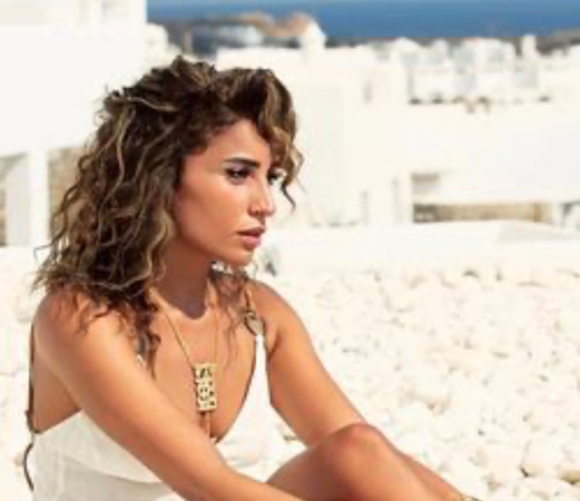 دينا الشربيني من الأزمات إلى قمّة النجاح