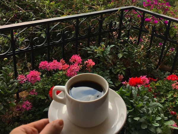 صباحكم ورد