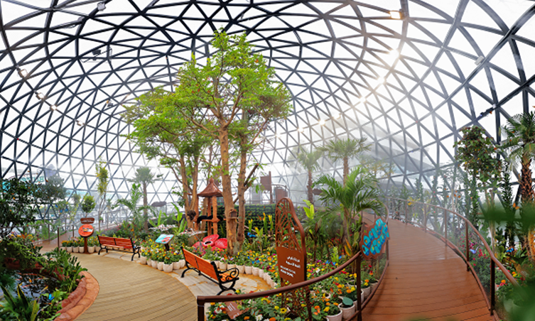 حدائق الفراشات أبوظبي… ملاذ استوائي هادئ في قلب المدينة