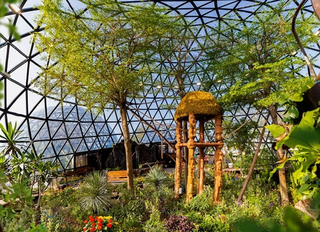 حدائق الفراشات أبوظبي… ملاذ استوائي هادئ في قلب المدينة