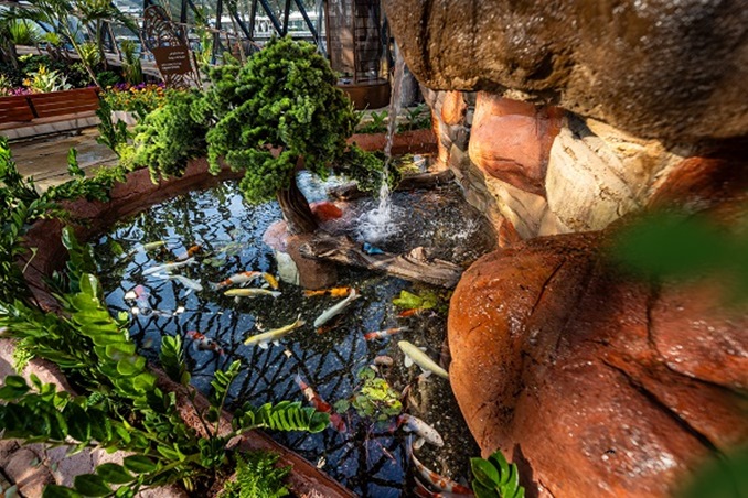 حدائق الفراشات أبوظبي… ملاذ استوائي هادئ في قلب المدينة