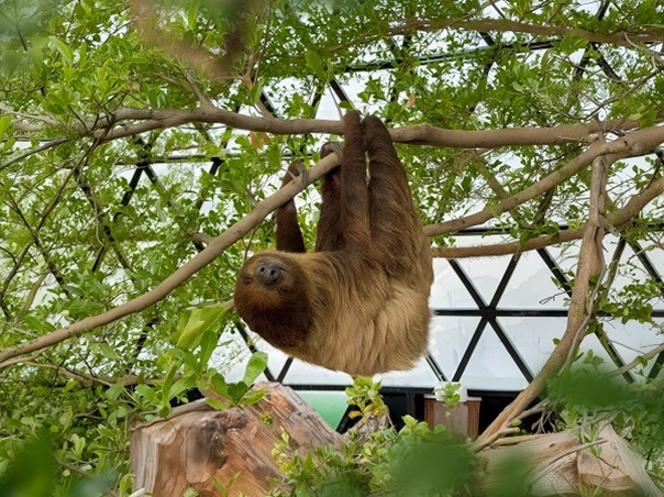حدائق الفراشات أبوظبي… ملاذ استوائي هادئ في قلب المدينة