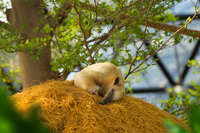 حدائق الفراشات أبوظبي… ملاذ استوائي هادئ في قلب المدينة