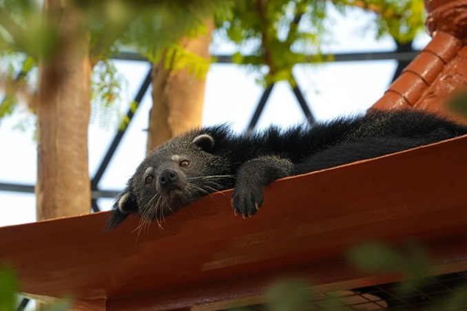 حدائق الفراشات أبوظبي… ملاذ استوائي هادئ في قلب المدينة