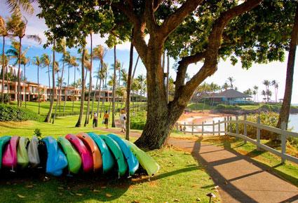 هاواي جنّة الأرض المخصّصة لشهر العسل