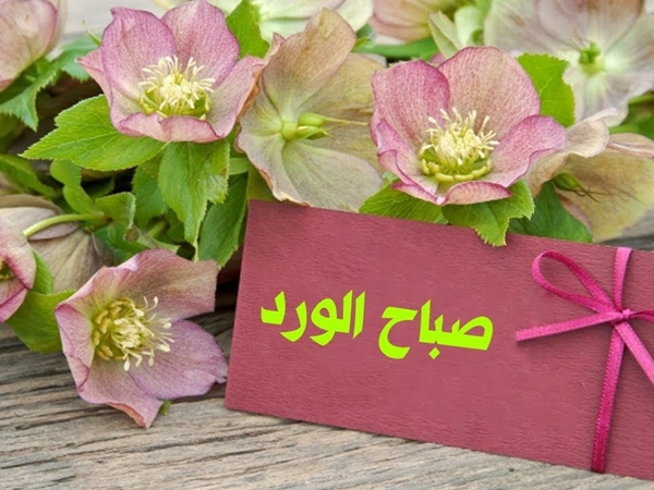 رسالة صباحية