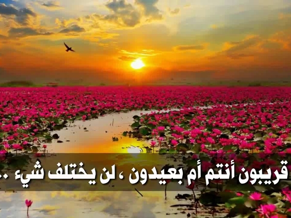صباح المحبة