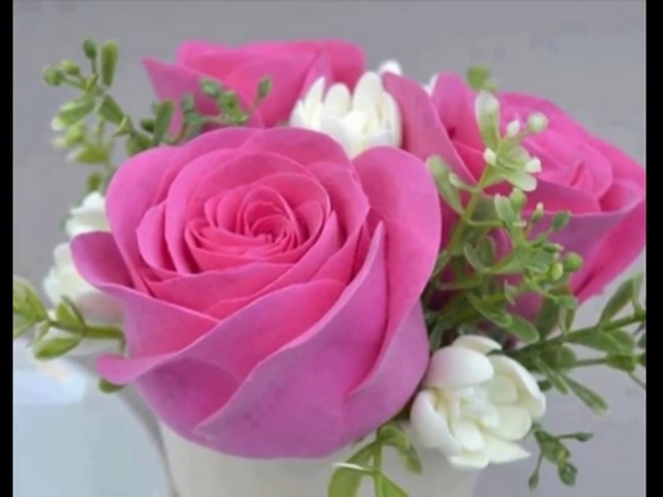 صباح الخيرات